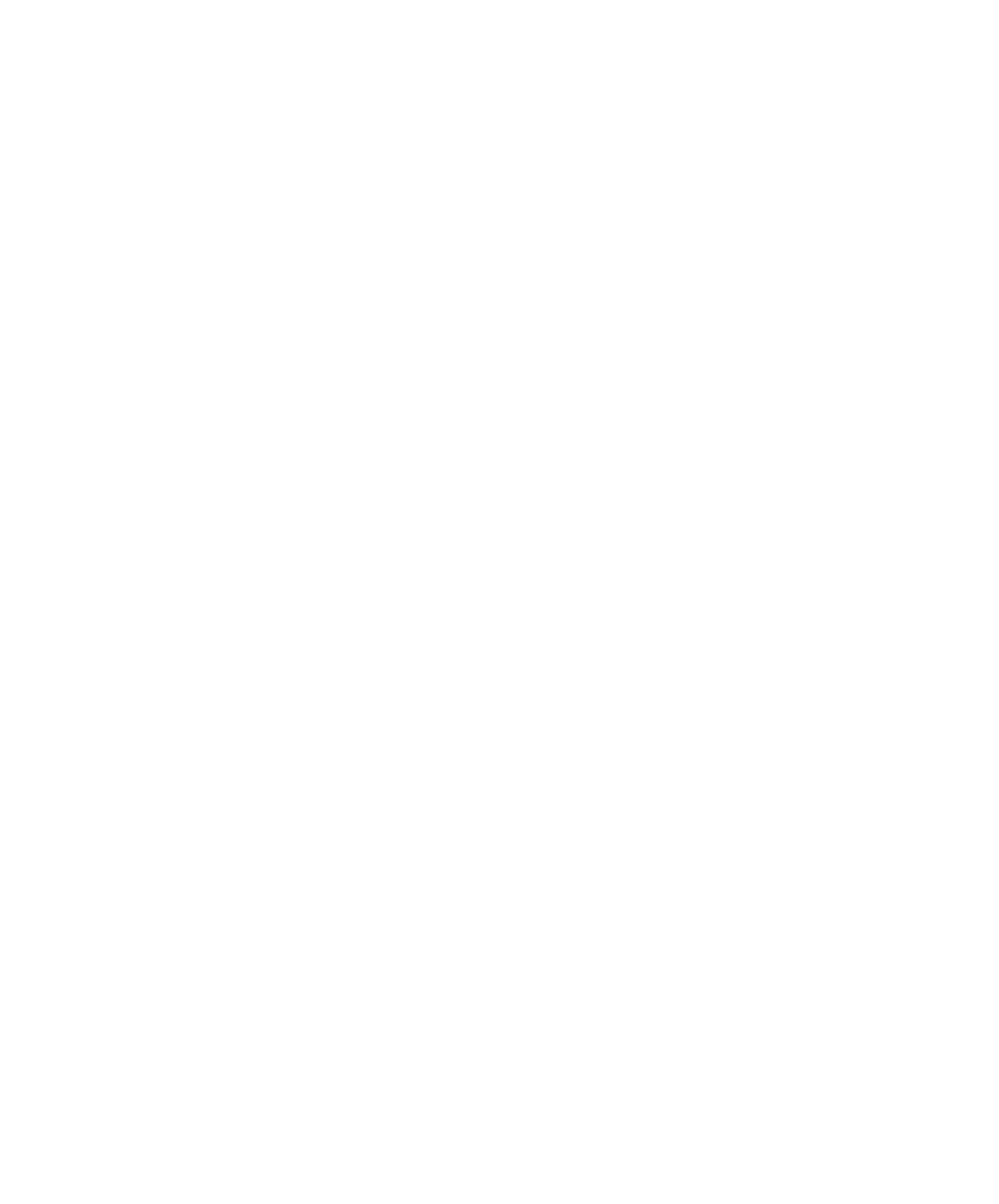 PRINCO CONSULTING